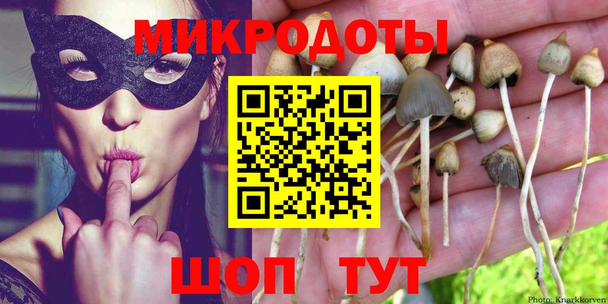 Гусиноозёрск  Псилоцибиновые грибы MAGIC MUSHROOMS  где купить   Вход с VPN 